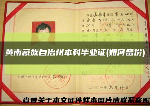 黄南藏族自治州本科毕业证(如何备份)缩略图