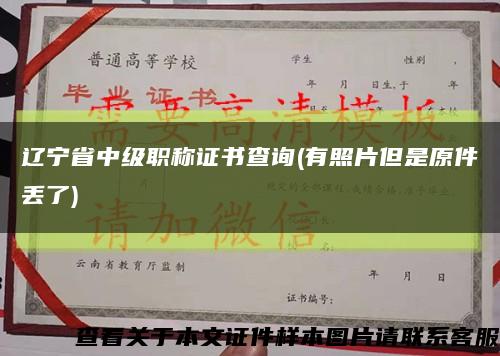 辽宁省中级职称证书查询(有照片但是原件丢了)缩略图
