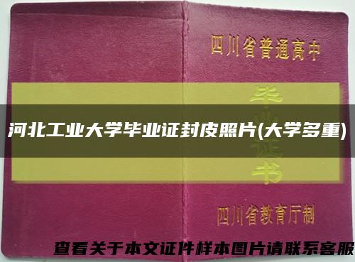 河北工业大学毕业证封皮照片(大学多重)缩略图