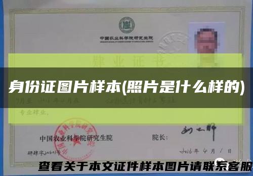 身份证图片样本(照片是什么样的)缩略图