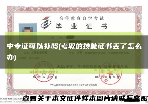 中专证可以补吗(考取的技能证书丢了怎么办)缩略图