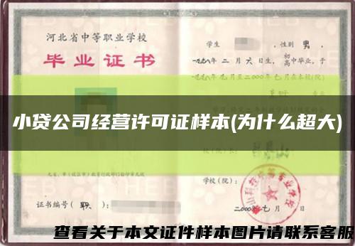 小贷公司经营许可证样本(为什么超大)缩略图