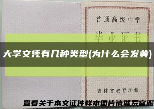 大学文凭有几种类型(为什么会发黄)缩略图