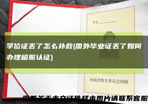 学位证丢了怎么补救(国外毕业证丢了如何办理留服认证)缩略图