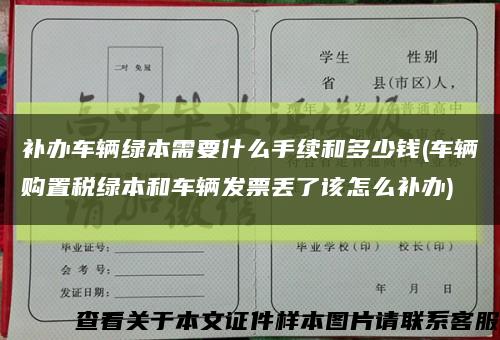 补办车辆绿本需要什么手续和多少钱(车辆购置税绿本和车辆发票丢了该怎么补办)缩略图