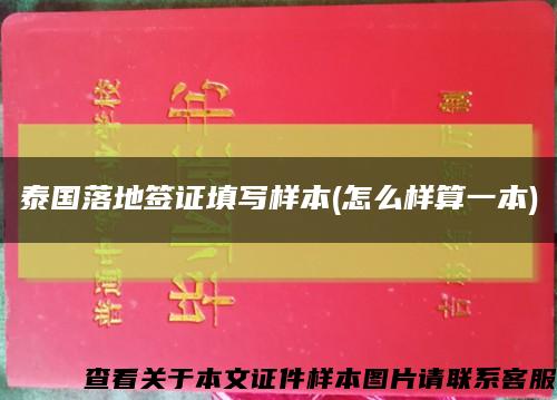 泰国落地签证填写样本(怎么样算一本)缩略图