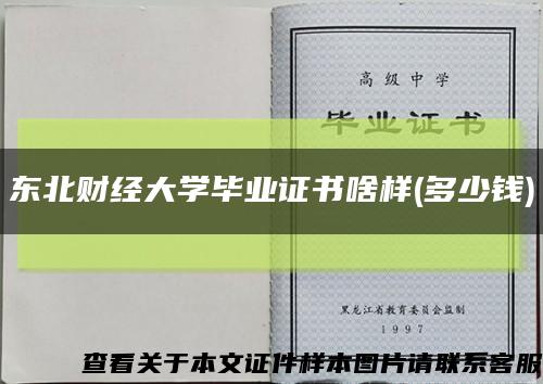 东北财经大学毕业证书啥样(多少钱)缩略图