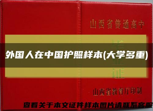 外国人在中国护照样本(大学多重)缩略图