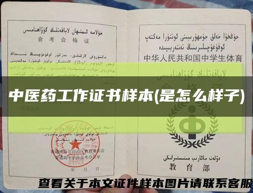 中医药工作证书样本(是怎么样子)缩略图