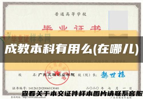 成教本科有用么(在哪儿)缩略图