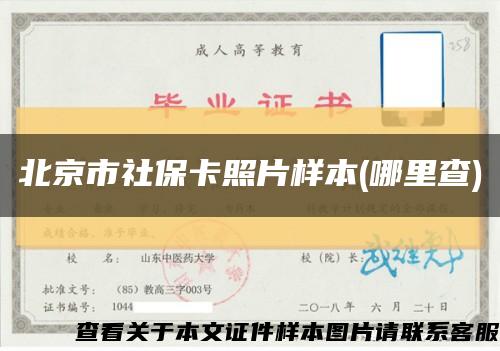 北京市社保卡照片样本(哪里查)缩略图
