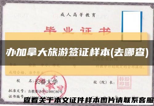 办加拿大旅游签证样本(去哪查)缩略图