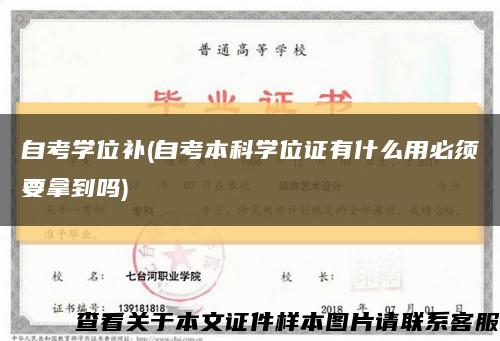事业单位考试学位证丢了怎么补