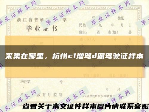 采集在哪里，杭州c1增驾d照驾驶证样本缩略图