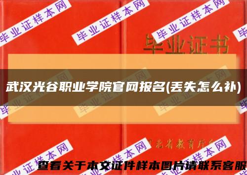 武汉光谷职业学院官网报名(丢失怎么补)缩略图