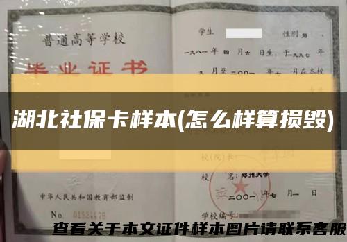 湖北社保卡样本(怎么样算损毁)缩略图