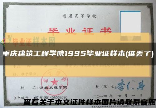 重庆建筑工程学院1995毕业证样本(谁丢了)缩略图