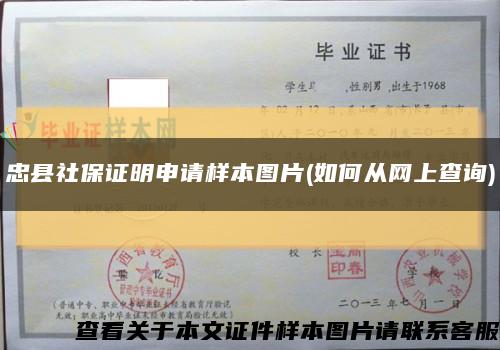 忠县社保证明申请样本图片(如何从网上查询)缩略图