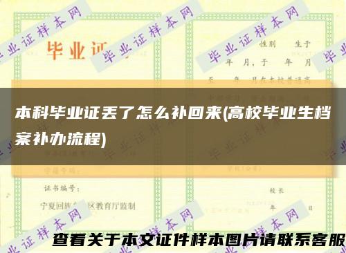 本科毕业证丢了怎么补回来(高校毕业生档案补办流程)缩略图