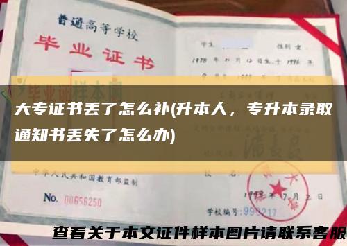 大专证书丢了怎么补(升本人，专升本录取通知书丢失了怎么办)缩略图