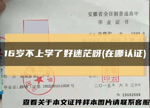 16岁不上学了好迷茫呀(在哪认证)缩略图