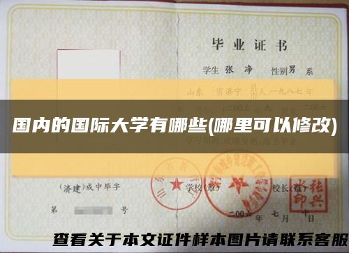 国内的国际大学有哪些(哪里可以修改)缩略图