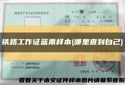 铁路工作证蓝票样本(哪里查到自己)缩略图