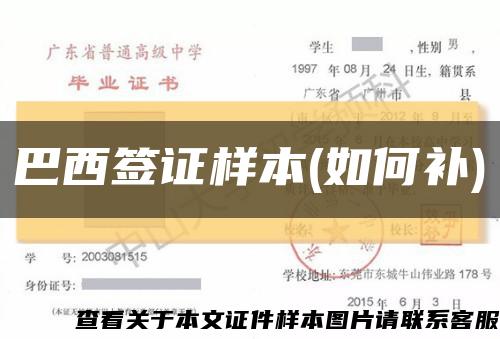 巴西签证样本(如何补)缩略图