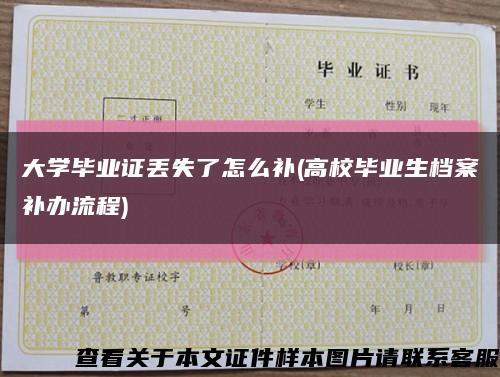 大学毕业证丢失了怎么补(高校毕业生档案补办流程)缩略图