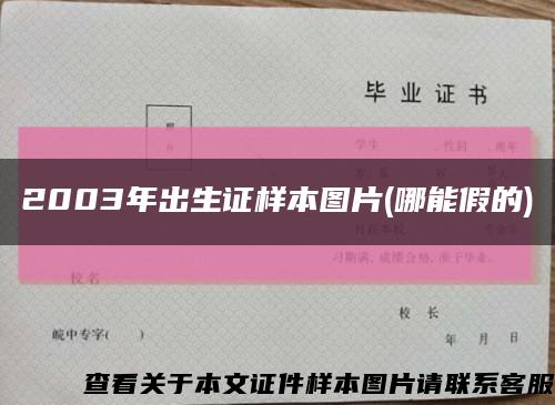 2003年出生证样本图片(哪能假的)缩略图