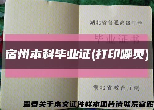 宿州本科毕业证(打印哪页)缩略图