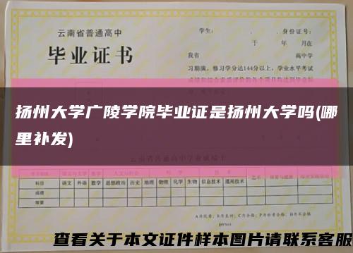 扬州大学广陵学院毕业证是扬州大学吗(哪里补发)缩略图