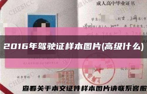 2016年驾驶证样本图片(高级什么)缩略图