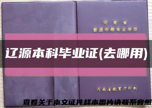 辽源本科毕业证(去哪用)缩略图