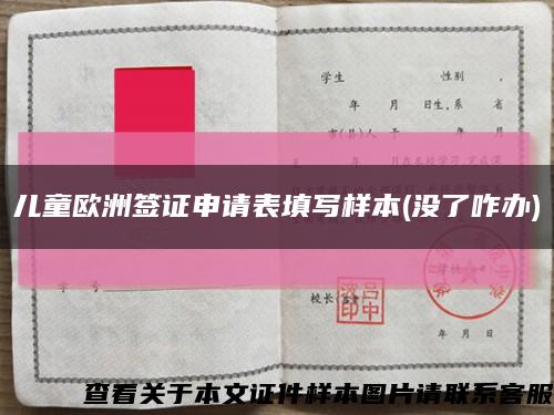 儿童欧洲签证申请表填写样本(没了咋办)缩略图