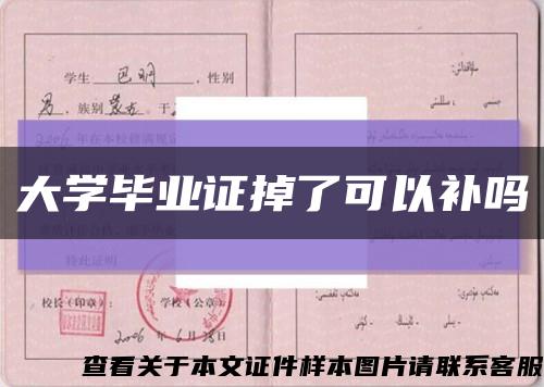 大学毕业证掉了可以补吗缩略图