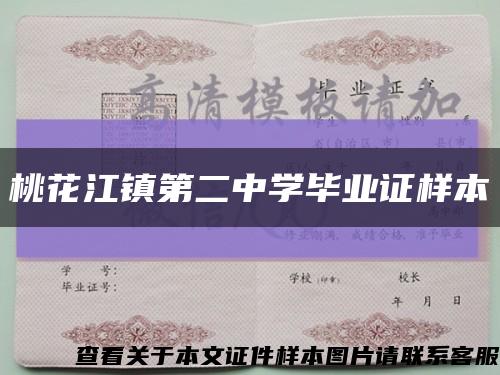 桃花江镇第二中学毕业证样本缩略图