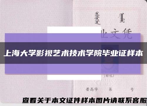 上海大学影视艺术技术学院毕业证样本缩略图