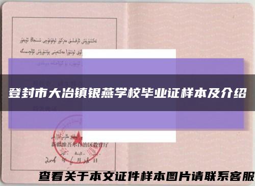 登封市大冶镇银燕学校毕业证样本及介绍缩略图