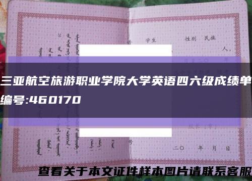 三亚航空旅游职业学院大学英语四六级成绩单编号:460170缩略图