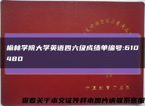 榆林学院大学英语四六级成绩单编号:610480缩略图