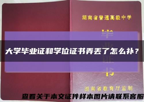 大学毕业证和学位证书弄丢了怎么补？缩略图