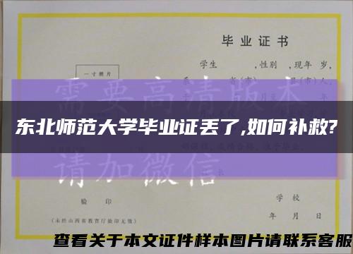 东北师范大学毕业证丢了,如何补救?缩略图