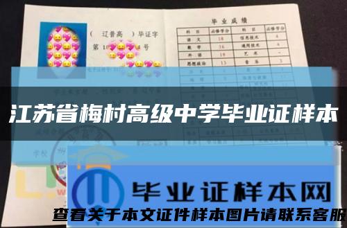 江苏省梅村高级中学毕业证样本缩略图