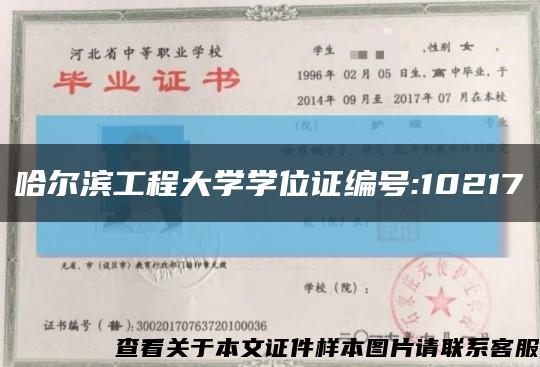 哈尔滨工程大学学位证编号:10217缩略图