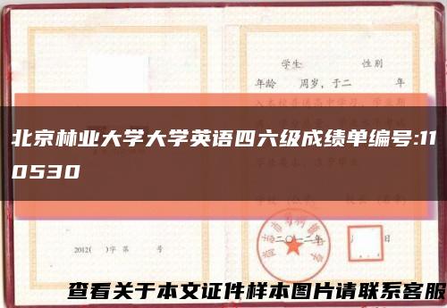 北京林业大学大学英语四六级成绩单编号:110530缩略图
