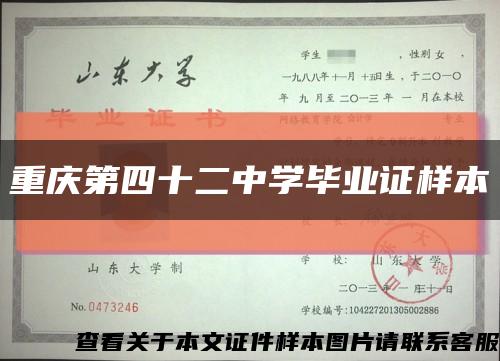 重庆第四十二中学毕业证样本缩略图