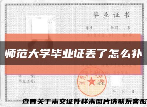 师范大学毕业证丢了怎么补缩略图