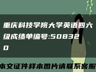 重庆科技学院大学英语四六级成绩单编号:508320缩略图