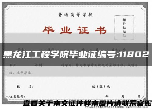 黑龙江工程学院毕业证编号:11802缩略图